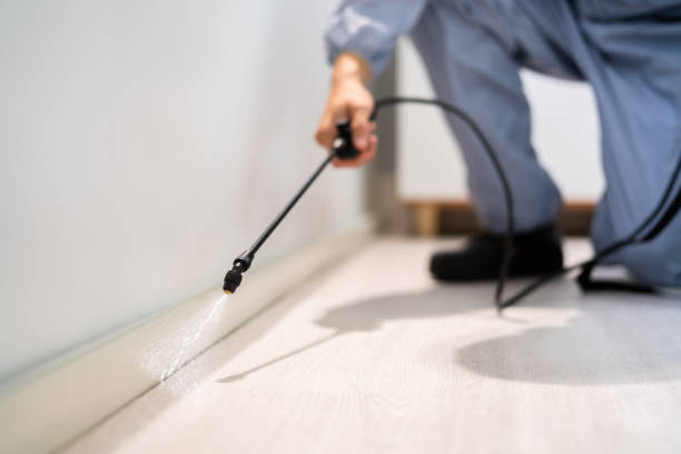 Licensed Fumigation Services service in Sycamore, GA - Nex Pest Control