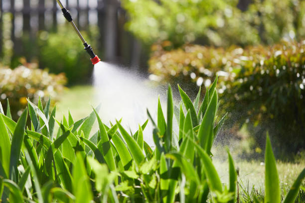 24/7 Emergency Fumigation Services experts in Sycamore, GA